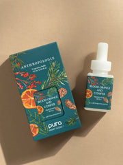 Blood Orange & Conifer