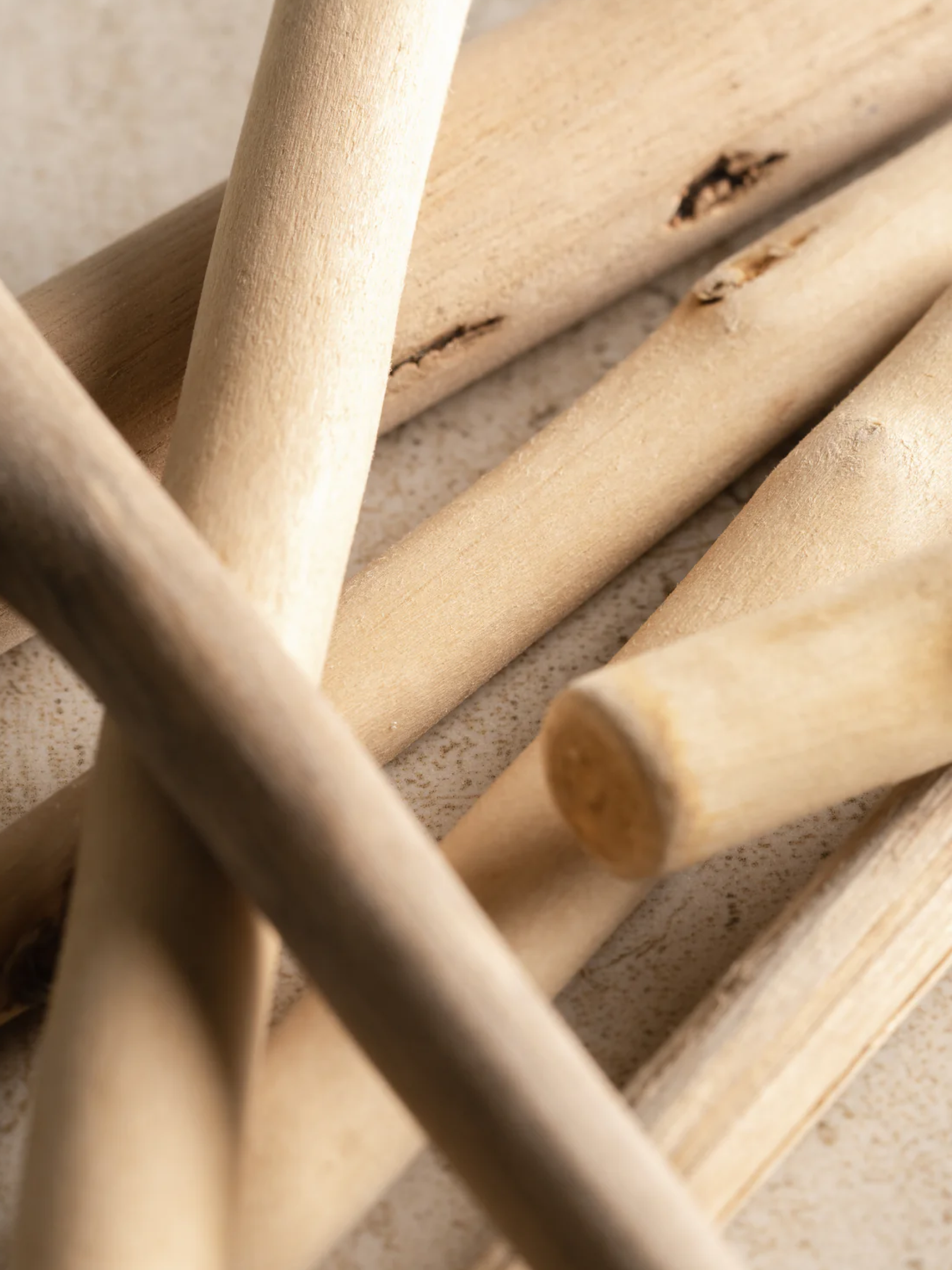 Winter Woods & Vanilla